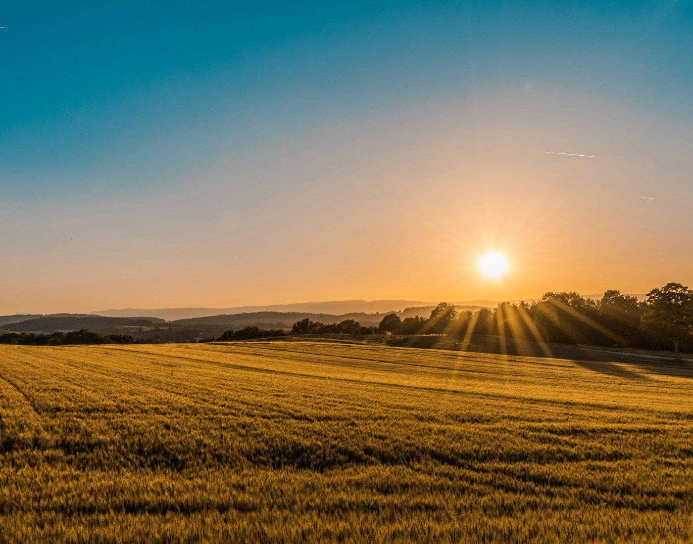 Sunrise over open fields